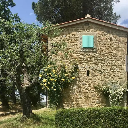 Apartment Poggio Corsucci *