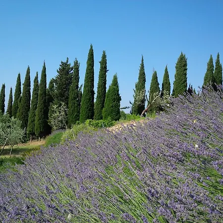 Poggio Corsucci Loro Ciuffenna